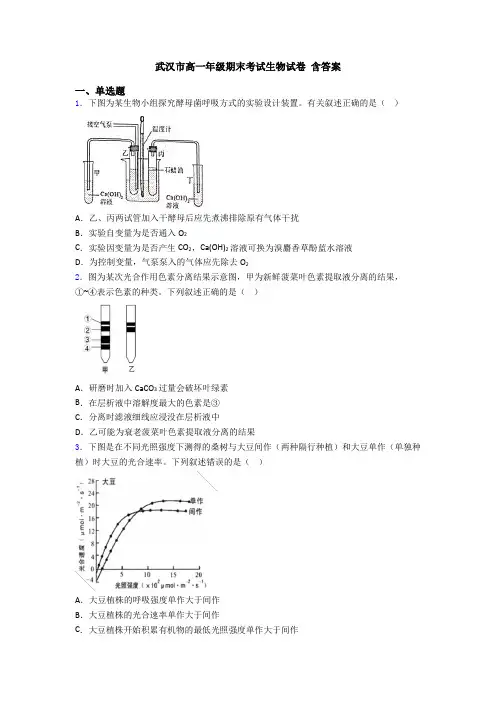 武汉市高一年级期末考试生物试卷 含答案