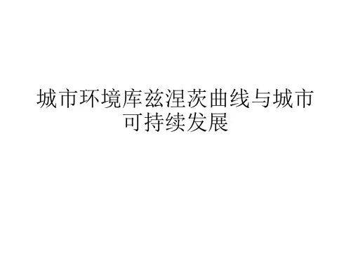 城市环境库兹涅茨曲线