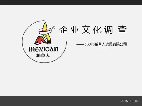 稻草人——企业文化调查