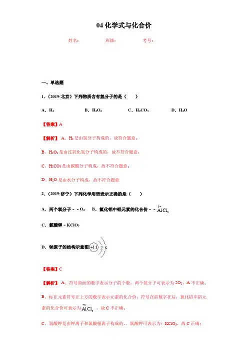 专题04 化学式与化合价(练习)(解析版)