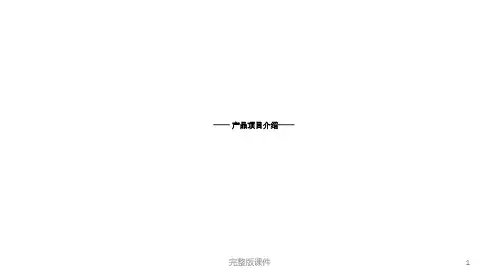 人力资源外包产品项目介绍ppt课件