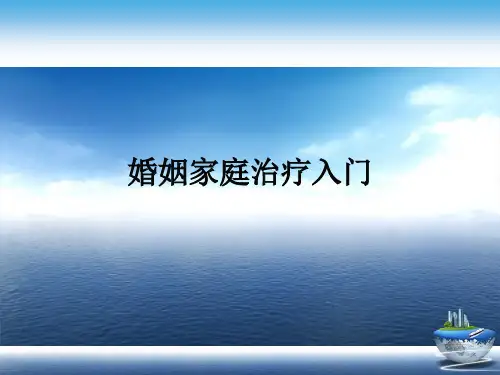 婚姻家庭治疗入门演示文稿