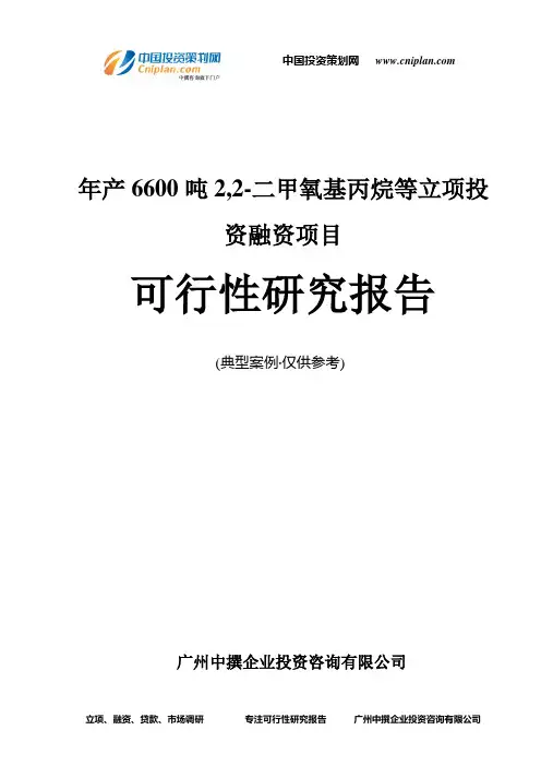 年产6600吨2,2-二甲氧基丙烷等融资投资立项项目可行性研究报告(中撰咨询)