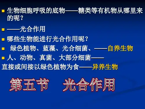 细胞的代谢——光合作用