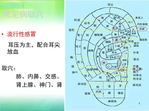 (优质医学)常见病的耳穴疗法