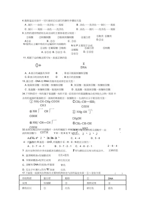 高一核酸蛋白质测试题