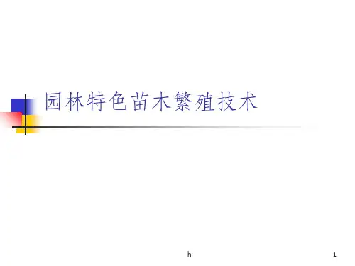 园林特色苗木繁殖技术