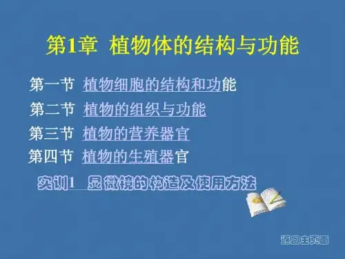 第1章植物生产与环境