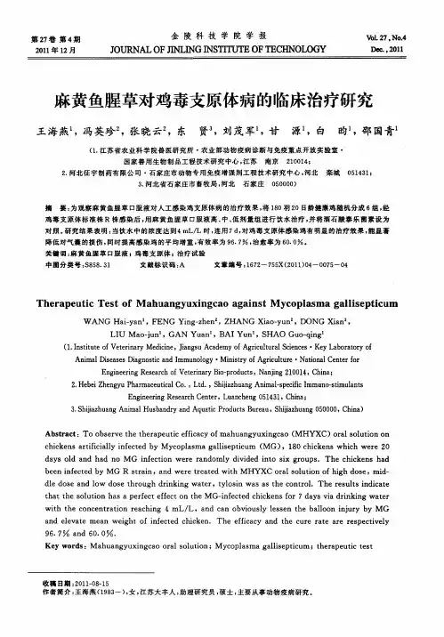 麻黄鱼腥草对鸡毒支原体病的临床治疗研究