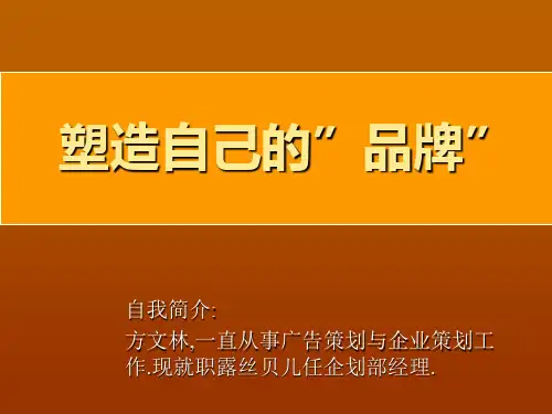 人生品牌规划