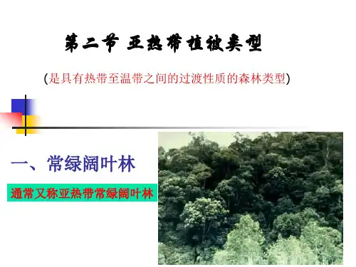 亚热带温带寒带植被类型