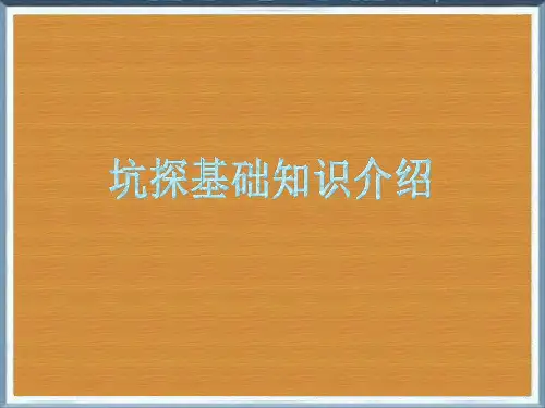 坑道地质编录及注意的事项