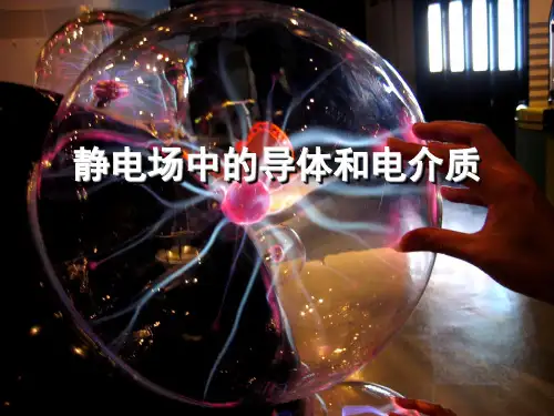 第10章导体与电介质中的静电场