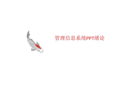 管理信息系统P讲义PT绪论