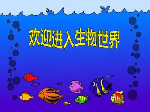 第一节七年级生物生物与环境的关系PPT课件