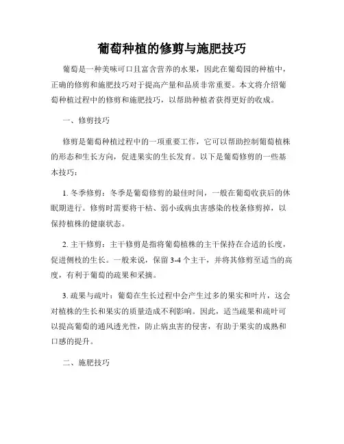 葡萄种植的修剪与施肥技巧