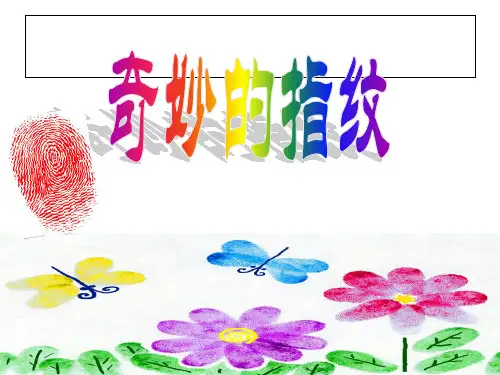 奇妙的指纹 ppt课件