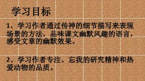 17 《动物笑谈》课件-