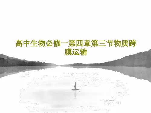 高中生物必修一第四章第三节物质跨膜运输30页PPT