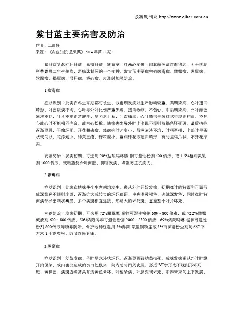 紫甘蓝主要病害及防治