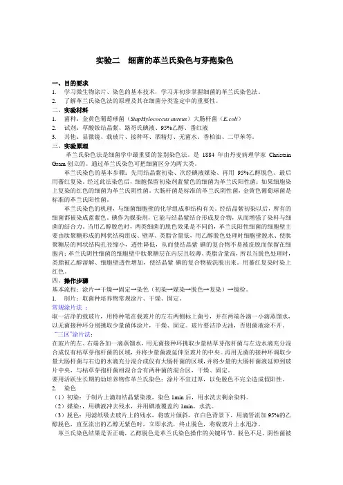 实验二  细菌的革兰氏染色与芽孢染色