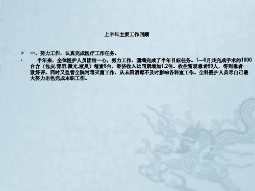 2015上半年工作总结暨下半年工作计划——模板