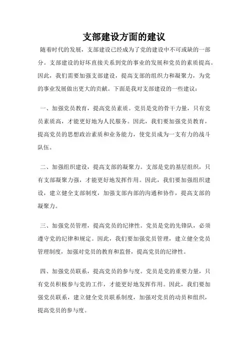 支部建设方面的建议