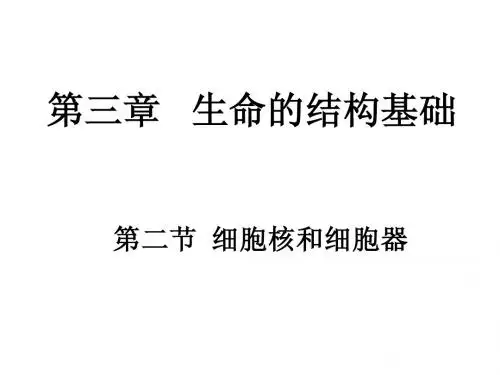 细胞核和细胞器二