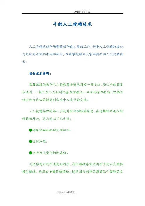 牛的人工授精技术