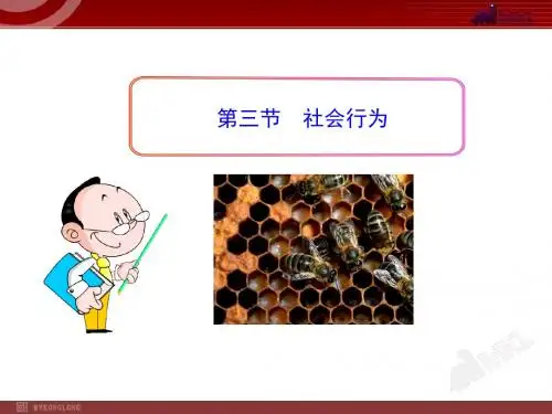 5、2、3社会行为
