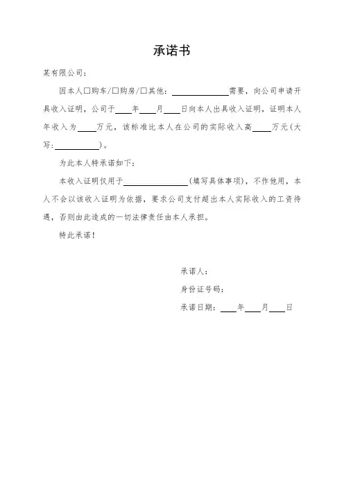 收入证明承诺书