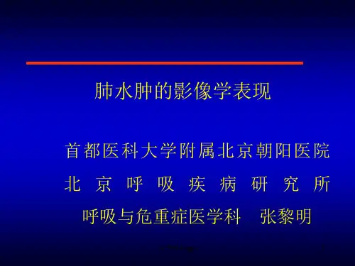 肺水肿影像学表现