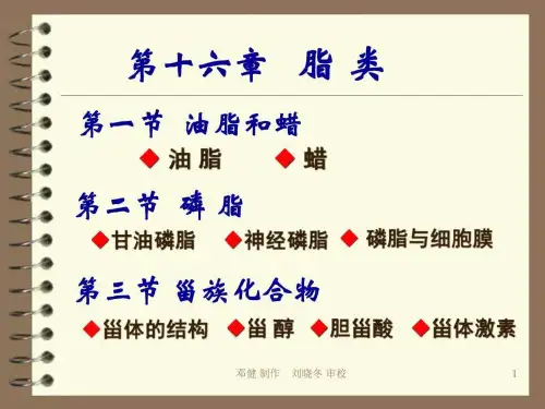 lipid_文化宗教_人文社科_专业资料