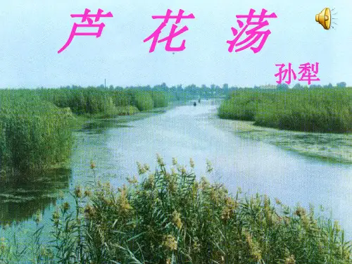 《芦花荡》9、5课件
