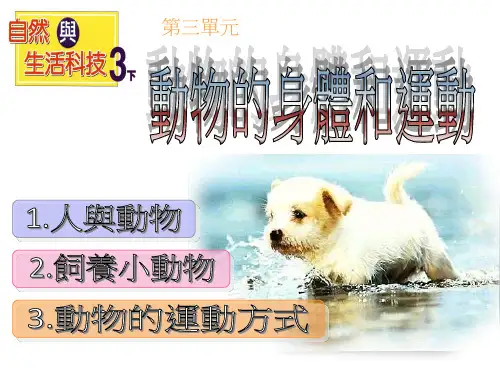 动物的身体和运动