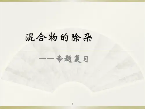 初中化学除杂_专题复习ppt课件