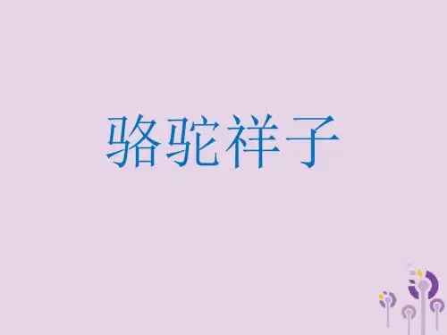 [精品课件]广东省深圳市宝安区中考语文 骆驼祥子复习课件1