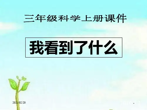 小学三年级上册科学 《我看到了什么》植物优质课件PPT