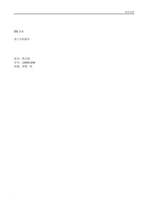 客户分析报告