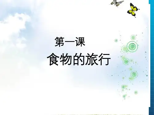《食物的旅行》PPT课件