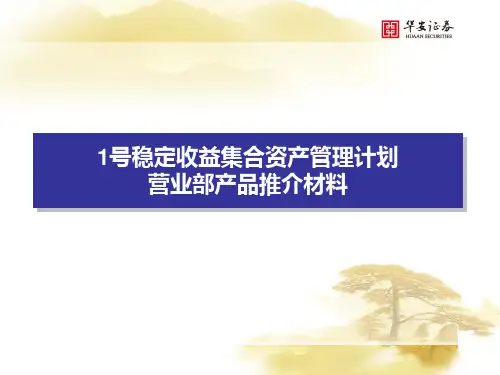 某某公司营业部产品推介材料