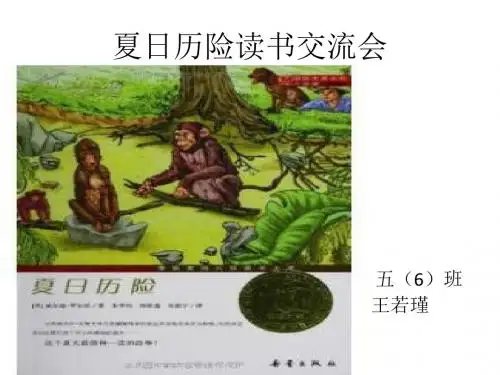《夏日历险》