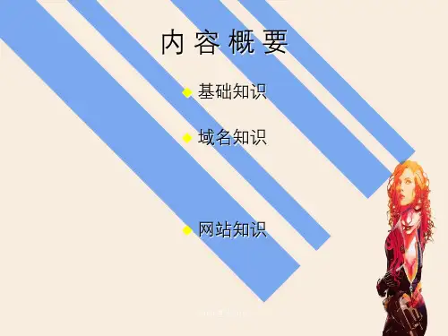 网站建设知识