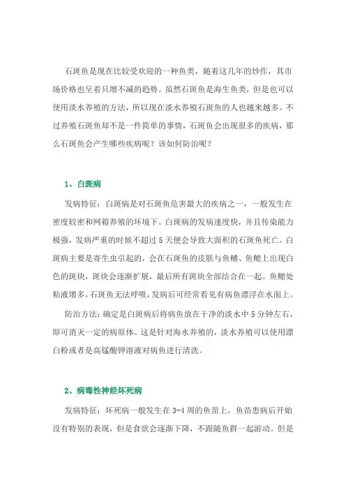养鱼经验：石斑鱼的常见疾病及防治