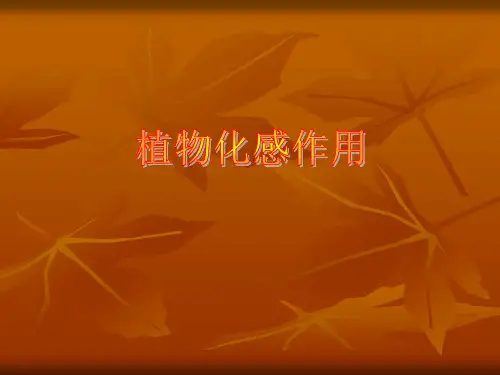 植物化感作用