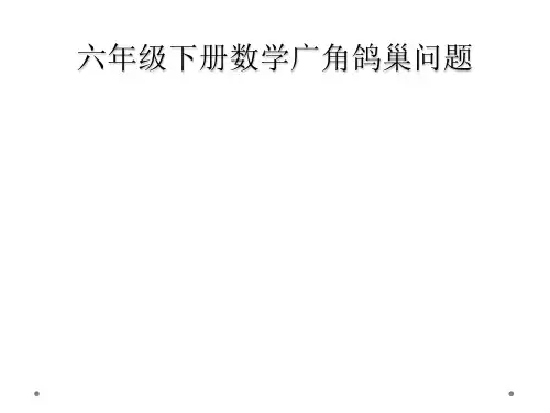 六年级下册数学广角鸽巢问题