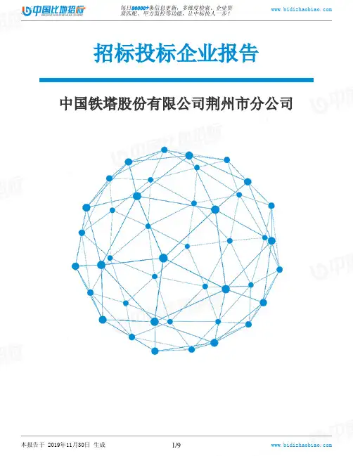中国铁塔股份有限公司荆州市分公司-招投标数据分析报告