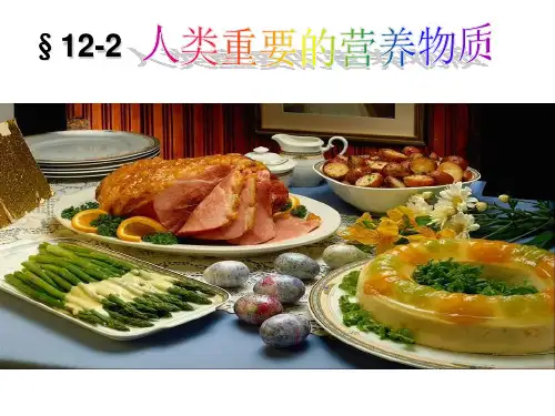 12.1课题1 人类重要的营养物质.ppt
