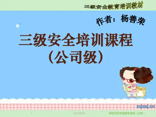 三级安全教育培训教材ppt11.介绍