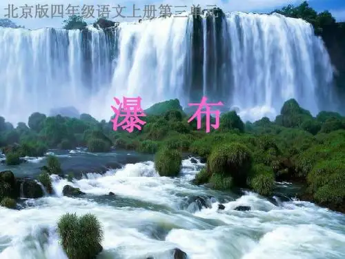 语文课件：四年级语文瀑布